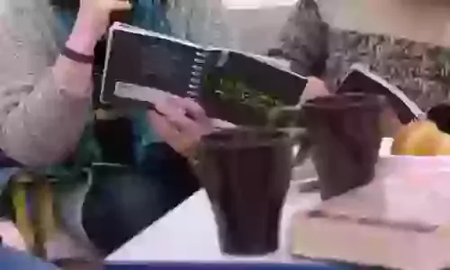 The Bible Course